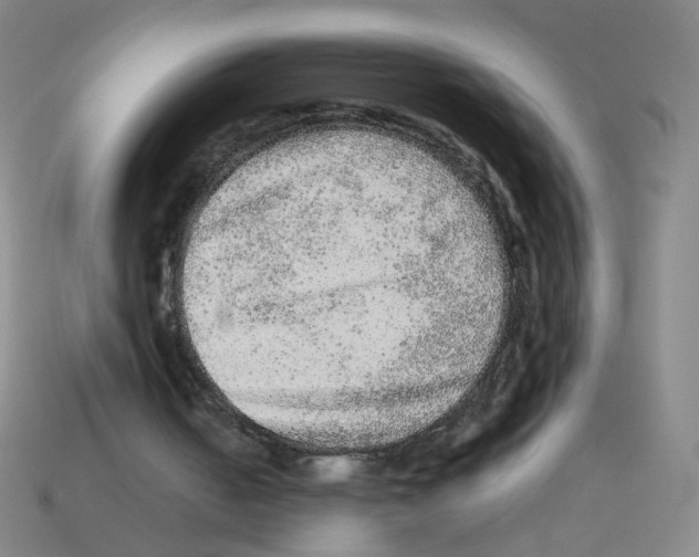 X0000113240050200910221109