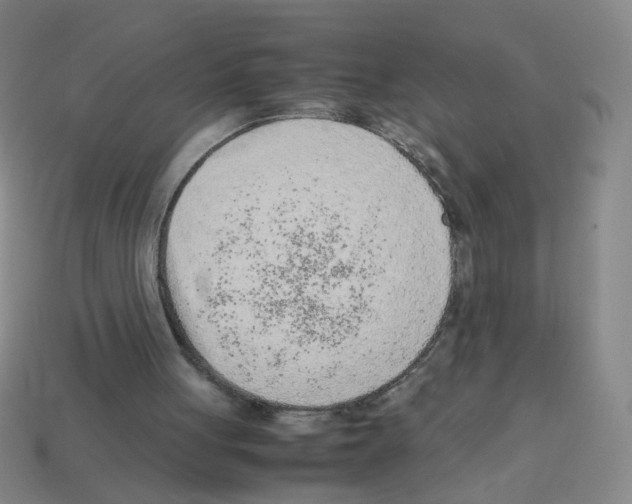 X0000113240051200910221109