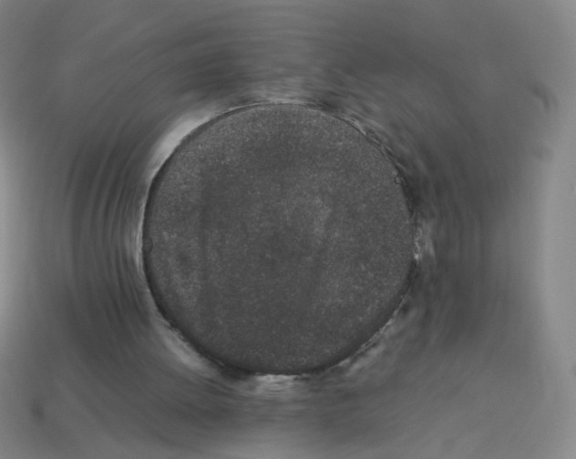 X0000113240052200910221109