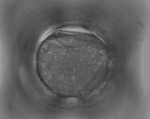 X0000113240053200910221109