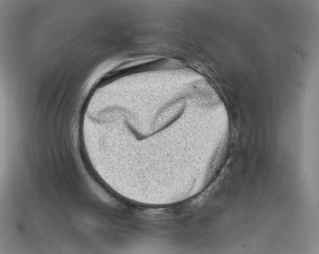 X0000113240054200910221109