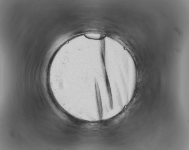 X0000113240055200910221109