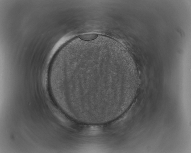 X0000113240056200910221109