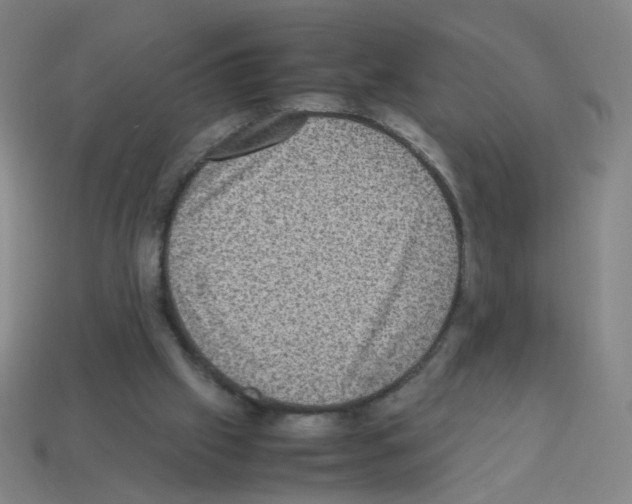 X0000113240057200910221109