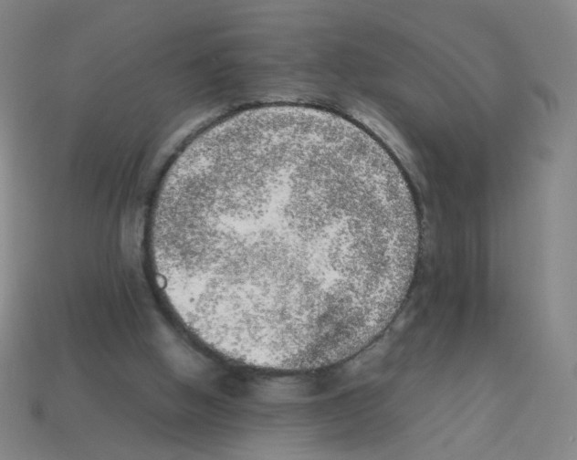 X0000113240058200910221109