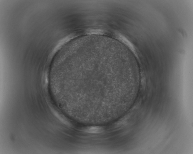 X0000113240059200910221109