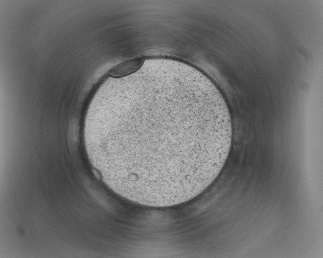 X0000113240060200910221109