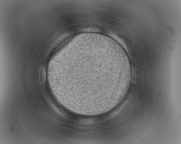 X0000113240061200910221109