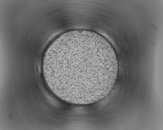 X0000113240062200910221109