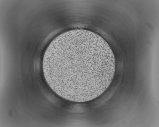 X0000113240064200910221109