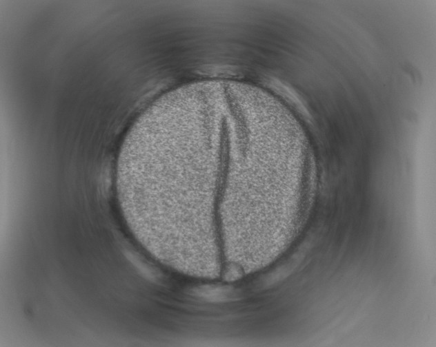X0000113240065200910221109
