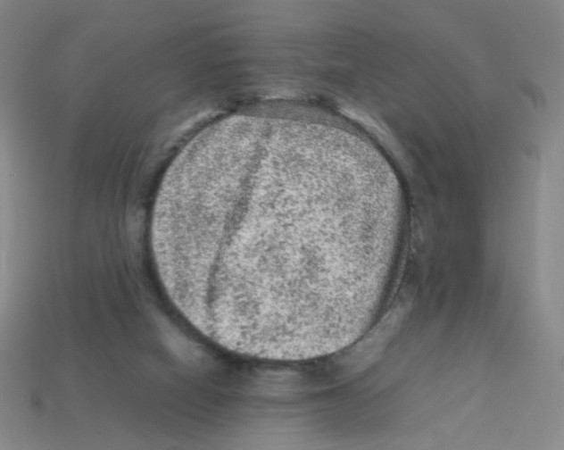 X0000113240066200910221109