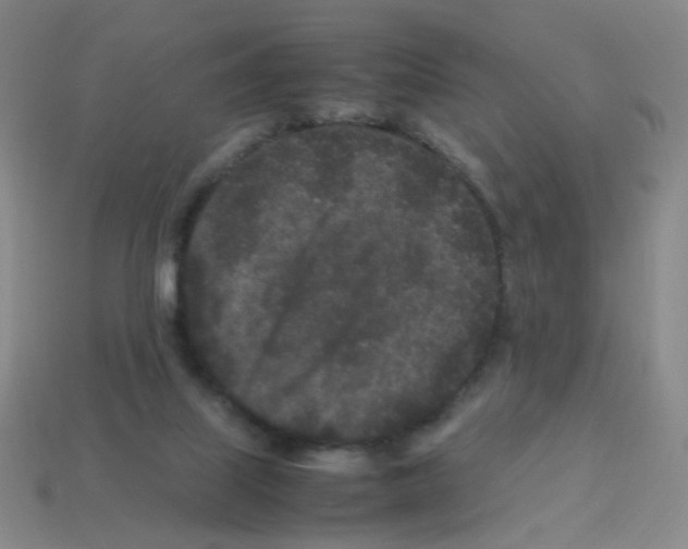 X0000113240067200910221109