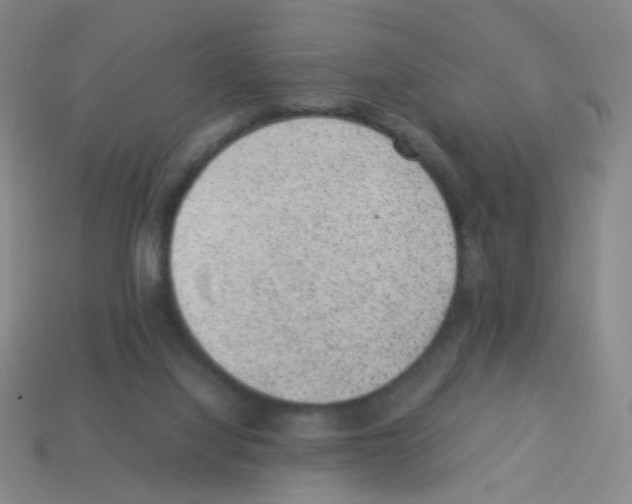 X0000113240068200910221109