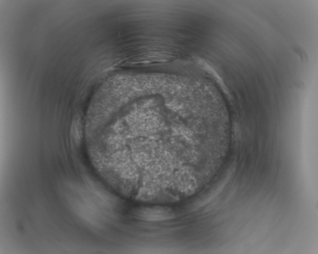 X0000113240069200910221109