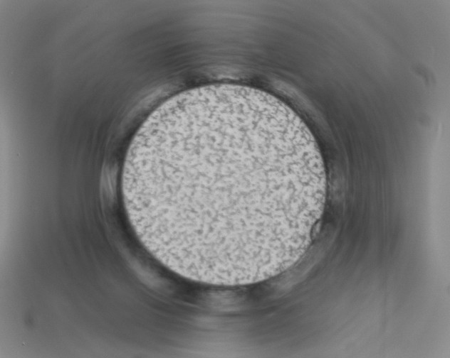X0000113240070200910221109