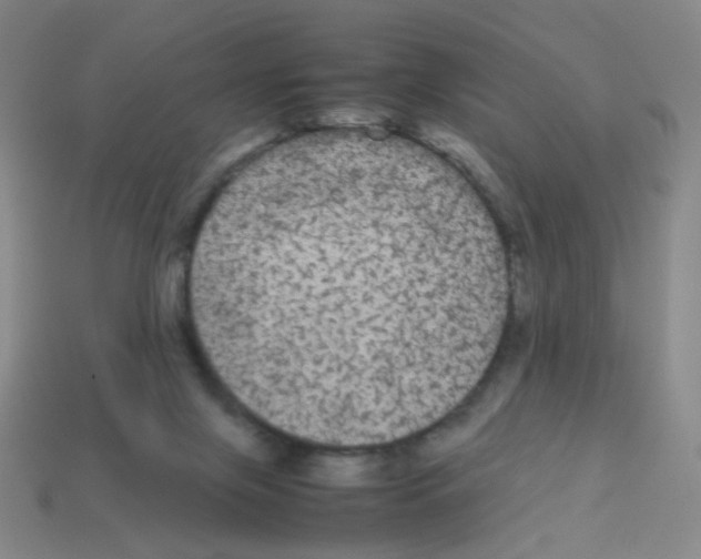 X0000113240071200910221109