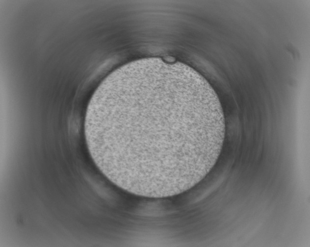 X0000113240072200910221109