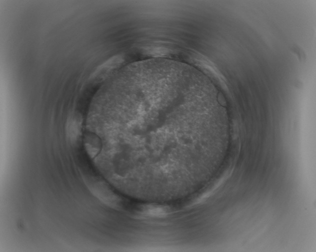 X0000113240073200910221109