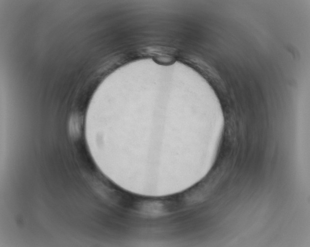 X0000113240075200910221109