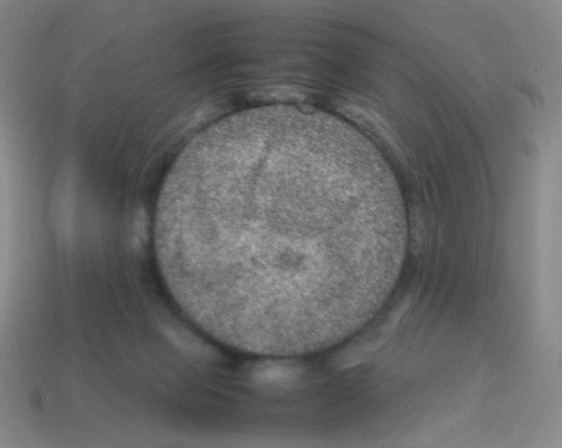 X0000113240077200910221109