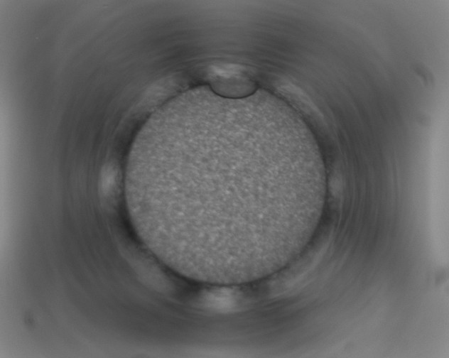X0000113240079200910221109