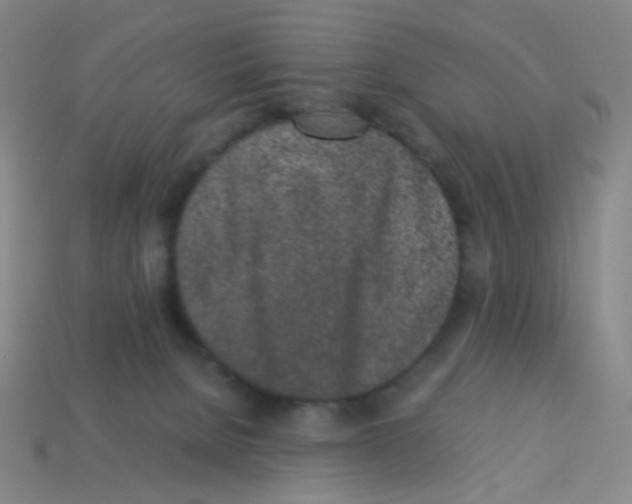 X0000113240080200910221109