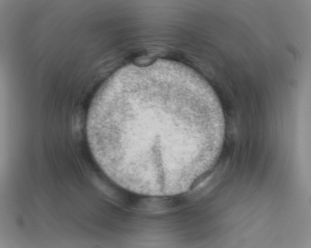 X0000113240082200910221109