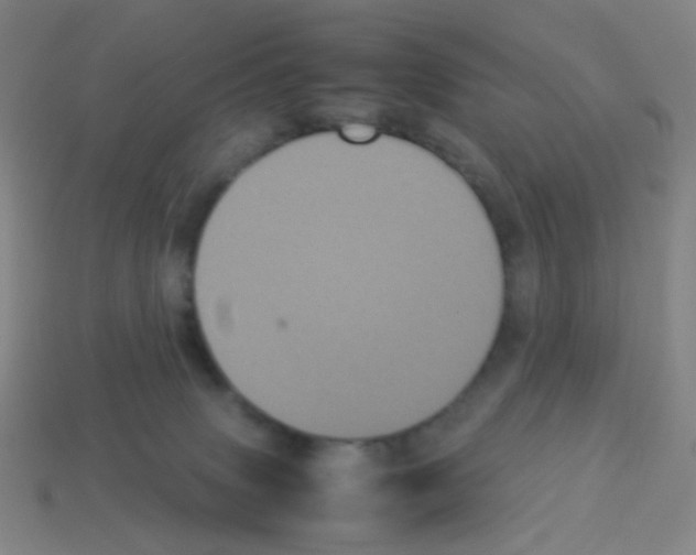 X0000113240083200910221109