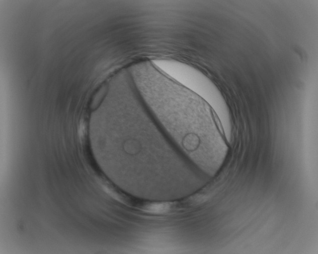 X0000113240084200910221109