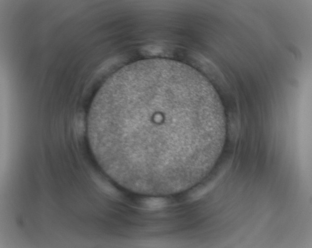 X0000113240085200910221109