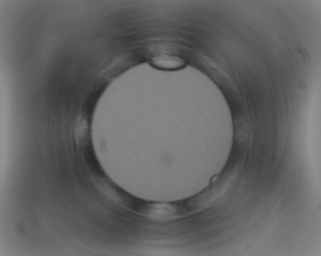 X0000113240087200910221109