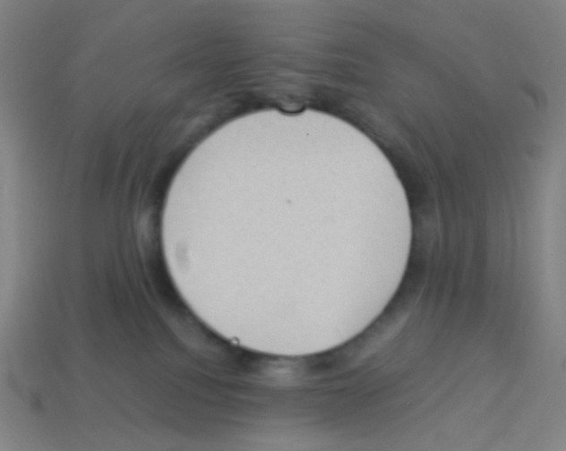 X0000113240088200910221109