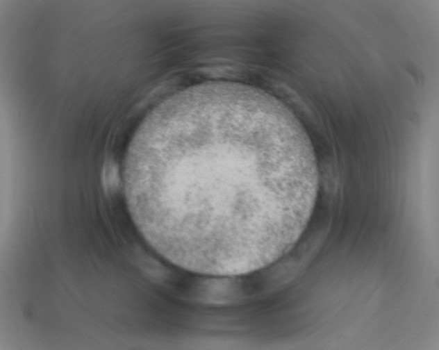 X0000113240089200910221109