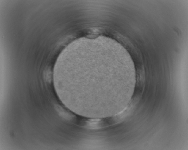 X0000113240090200910221109