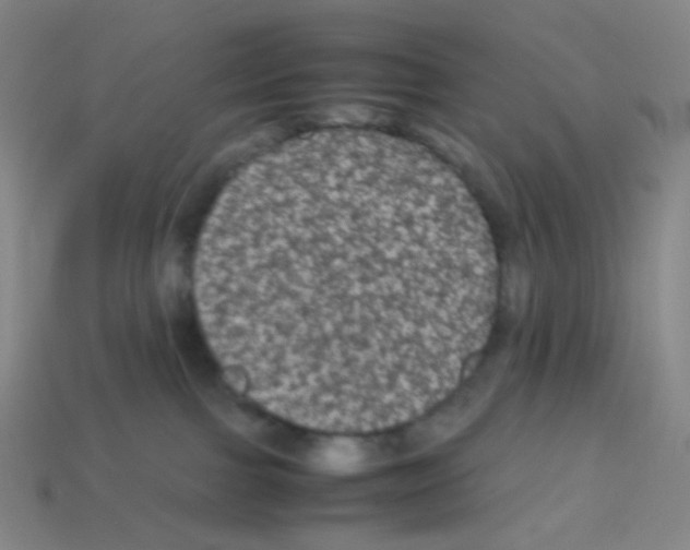 X0000113240091200910221109