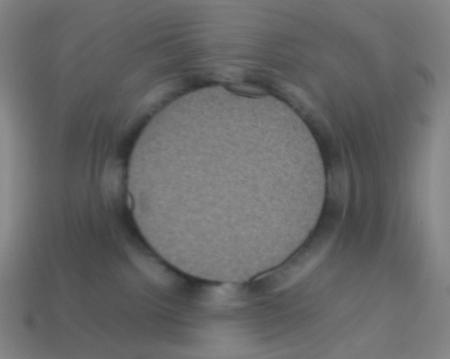 X0000113240092200910221109