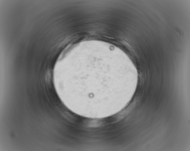X0000113240093200910221109