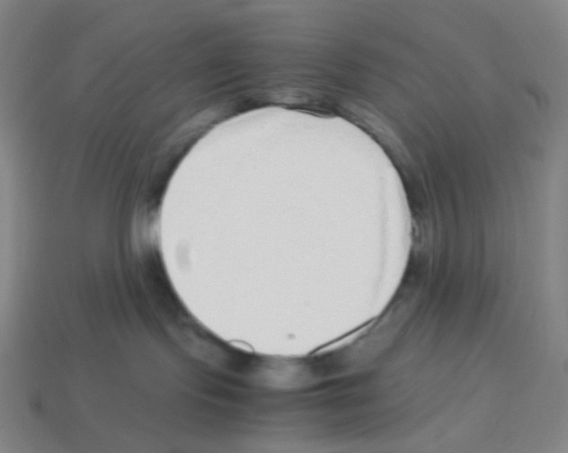 X0000113240095200910221109