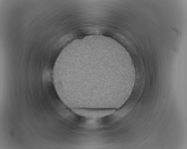 X0000113240096200910221109