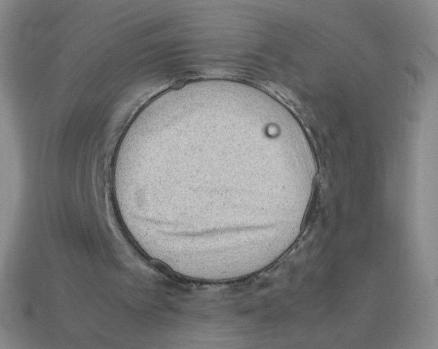 X0000113240097200910221109
