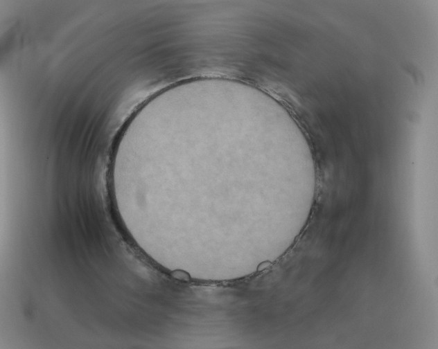 X0000113240098200910221109