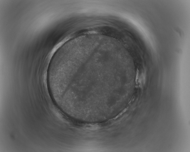 X0000113240099200910221109