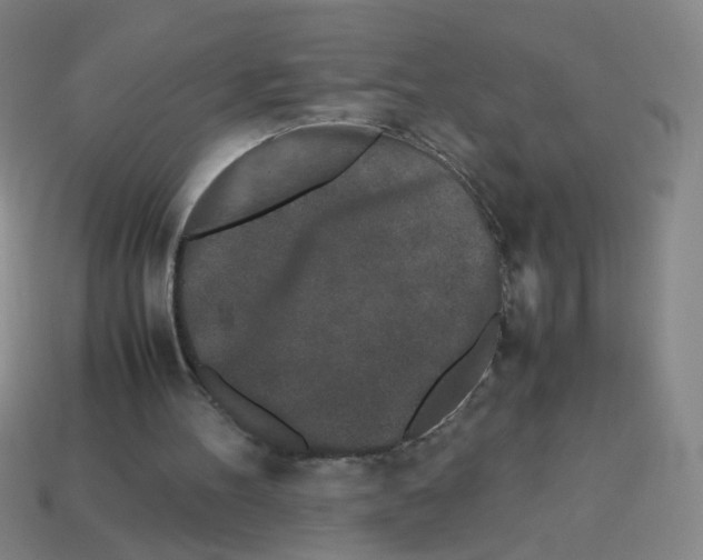 X0000113240100200910221109