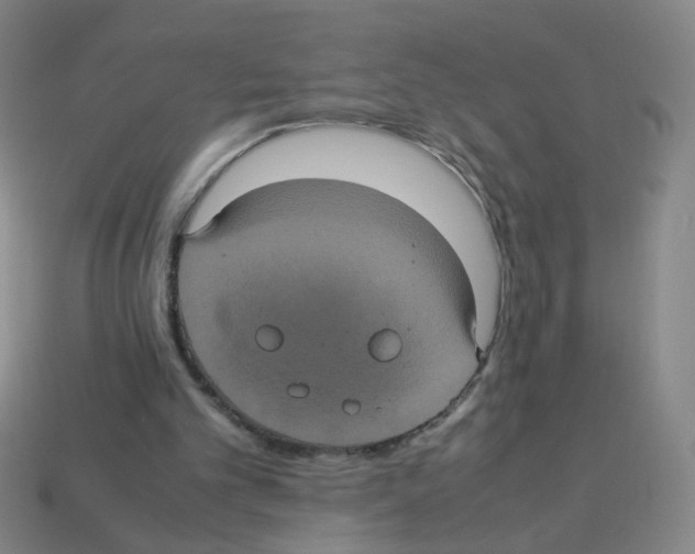 X0000113240101200910221109
