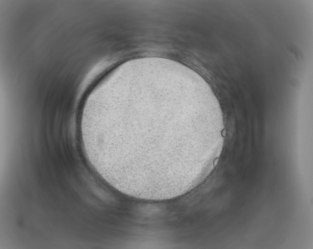 X0000113240102200910221109