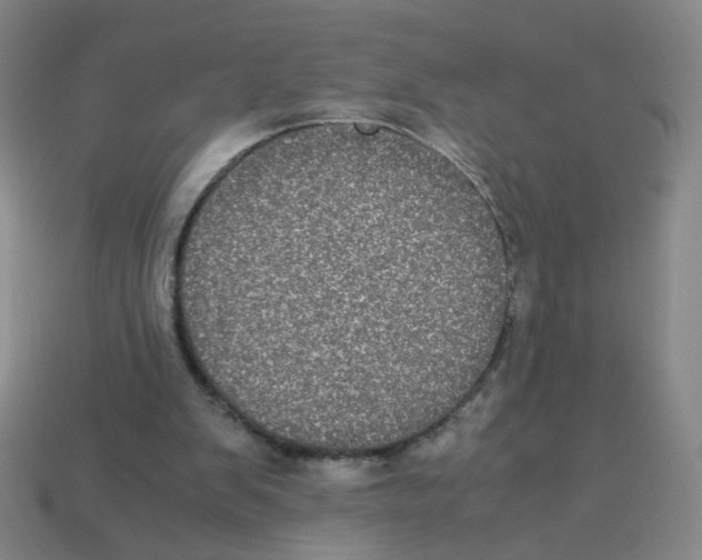 X0000113240103200910221109