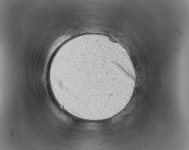 X0000113240104200910221109