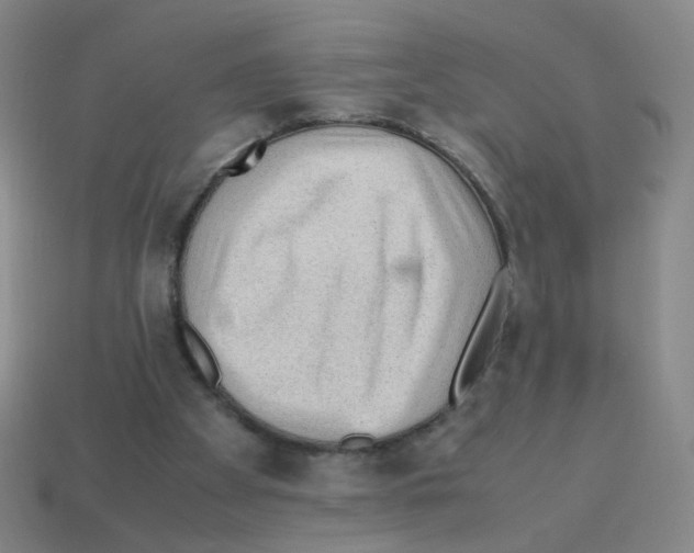 X0000113240105200910221109