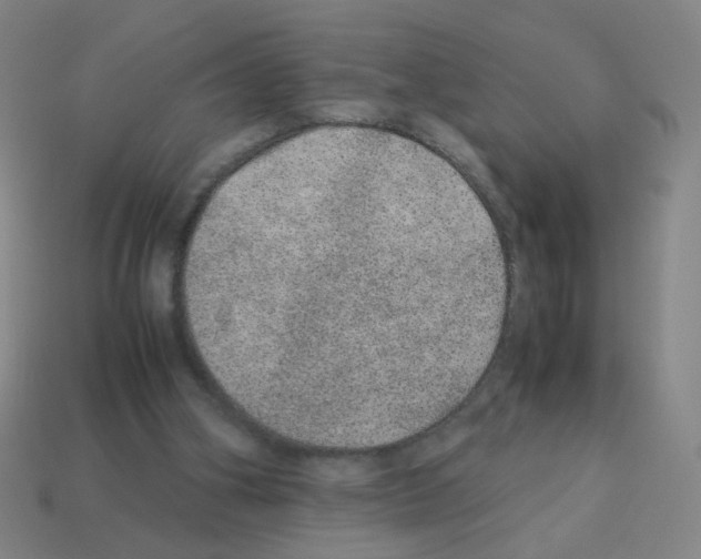 X0000113240106200910221109